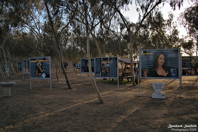 Bernhard Saalfeld - Nova (7v9)